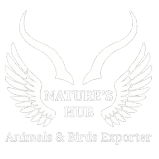 cropped 41141867 e4ce 4cca 82c9 b1e45d92cbc6.png